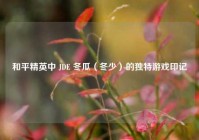 和平精英中 JDE 冬瓜（冬少）的独特游戏印记