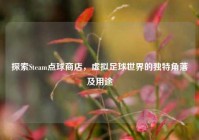 探索Steam点球商店，虚拟足球世界的独特角落及用途