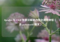 Openfire 与 CSGO 参数详解助力优化游戏体验（含 perfectworld 相关）