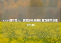 CSGO 细节图片，领略游戏微观世界及细节效果的作用