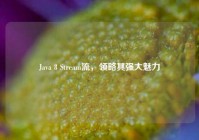 Java 8 Stream流，领略其强大魅力
