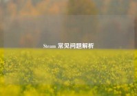 Steam 常见问题解析
