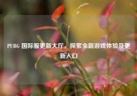 PUBG 国际服更新大厅，探索全新游戏体验及更新入口