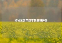 揭秘王者荣耀平民最强神器