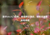 新手LOL入门指南，解锁峡谷激战，领略英雄联盟高级感