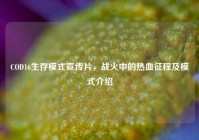 COD16生存模式宣传片，战火中的热血征程及模式介绍