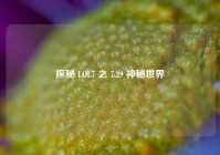 探秘 LOL7 之 7.29 神秘世界