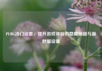 PUBG冷门设置，提升游戏体验的隐藏秘籍与最舒服设置