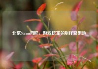 北京Steam网吧，游戏玩家的别样聚集地