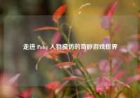 走进 Pubg 人物模仿的奇妙游戏世界