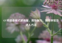 CF 终结者模式越南服，独特魅力、别样体验及进入方法