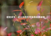 绝地求生，战火中的生死传奇故事视频
