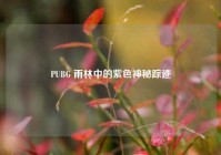 PUBG 雨林中的紫色神秘踪迹