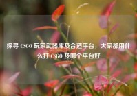 探寻 CSGO 玩家武器库及合适平台，大家都用什么打 CSGO 及哪个平台好