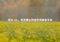 逆战 EDG，电竞舞台热血传奇展望未来