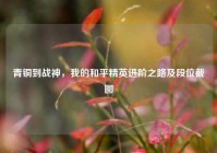 青铜到战神，我的和平精英进阶之路及段位截图