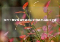 探寻王者荣耀消费疑问背后的真相与解决之道