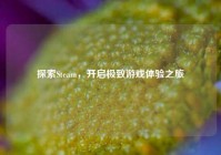 探索Steam，开启极致游戏体验之旅