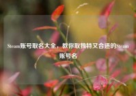 Steam账号取名大全，教你取独特又合适的Steam账号名