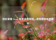 轻松掌握 Steam 账单消费明细，速看查看账单地址