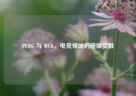 PUBG 与 WCK，电竞领域的碰撞交融