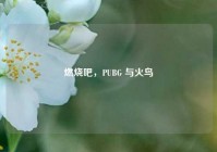 燃烧吧，PUBG 与火鸟