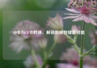 SD卡与CF卡转换，解锁数据存储新可能