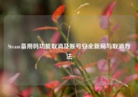 Steam备用码功能取消及账号安全新局与取消方法