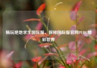 畅玩绝地求生国际服，探秘国际服官网PUBG精彩世界