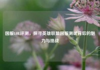 国服LOL评测，探寻英雄联盟国服测试背后的魅力与挑战