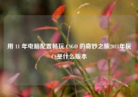 用 11 年电脑配置畅玩 CSGO 的奇妙之旅2011年玩CS是什么版本