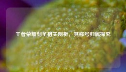 王者荣耀剑圣相关剖析，其称号归属探究