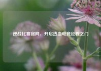 逆战比赛官网，开启热血电竞征程之门