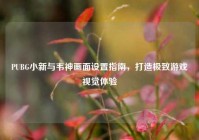 PUBG小新与韦神画面设置指南，打造极致游戏视觉体验