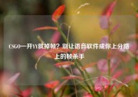 CSGO一开YY就掉帧？别让语音软件成你上分路上的帧杀手