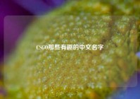 CSGO那些有趣的中文名字