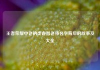 王者荣耀中老衲类睿智老师名字背后的故事及大全
