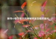 探寻CF悟空猎手的神秘风采及相关图片