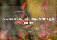 Steam转港区受限，现状、影响及应对之无法转港区情况