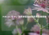 PUBG Lite 与 DX，游戏体验背后的技术支撑探秘