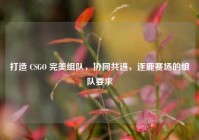 打造 CSGO 完美组队，协同共进，逐鹿赛场的组队要求