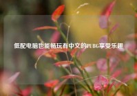 低配电脑也能畅玩有中文的PUBG享受乐趣