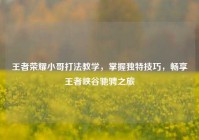 王者荣耀小哥打法教学，掌握独特技巧，畅享王者峡谷驰骋之旅