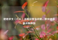 绝地求生（PUBG）流畅设置全攻略，教你调出最流畅体验