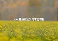 PUBG竞技模式为何不能双排