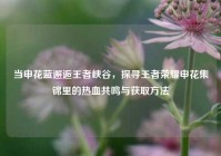 当申花蓝邂逅王者峡谷，探寻王者荣耀申花集锦里的热血共鸣与获取方法