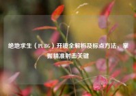 绝地求生（PUBG）开镜全解析及标点方法，掌握精准射击关键