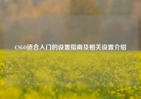 CSGO适合入门的设置指南及相关设置介绍