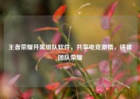 王者荣耀开黑组队软件，共享电竞激情，铸就团队荣耀
