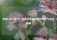 探秘 CSGO 橙子，电竞世界里的独特光芒与身份揭秘